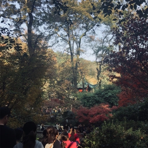 湘广2018冬日岳麓山登山活动